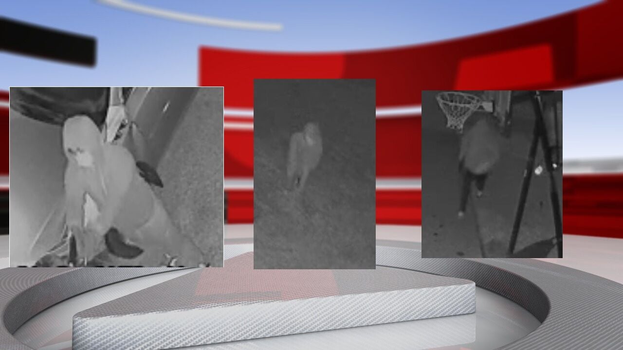LMPD SUSPECTS.jpg